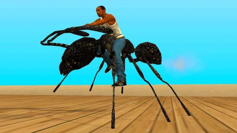 Ant Bike